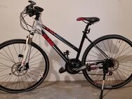 2 KTM Mountainbike- Fahrräder zu verkaufen - Grabenstätt