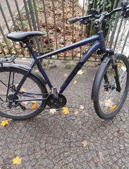 Bulls Wildcross cr 28 Zoll - Neuss