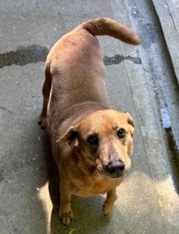 GARDA SUCHT IHR ZUHAUSE - Nörten-Hardenberg