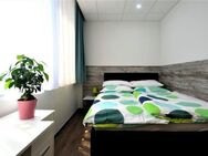 Schönes 1-Zimmer-Apartment, komfortabel & bequem ausgestattet, Innenstadt Offenbach - Offenbach (Main)