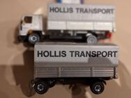 Modellauto 1:50/55--Siku Hollis Transport Volvo FL 10 Intercooler mit Anhänger - Meckenheim