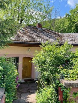 Architektenhaus nahe Neustadt auf herrlichem 2.800 qm Grundstück im Naturpark Pfälzerwald - Frankeneck