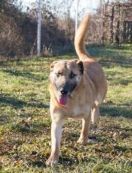 BOFUR - aktiv und gern in Bewegung - Overath