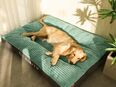 Hundebett Schlafplatz Cord abnehmbarer Bezug TRENDMOPS TRAUMTATZE in 26121