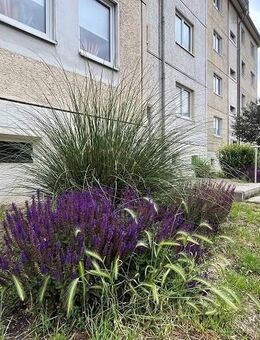 Wohnen in der Hochparterre - Wohnung mit Dusche im Zentrum - Oschersleben (Bode)