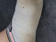 Dreckige und stinkende Socken TG - Holzminden