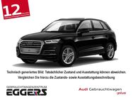 Audi Q5, 40 TDI qu S-line VC, Jahr 2019 - Verden (Aller)