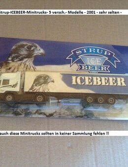 Strup BEER ICE- Minitruck Sortiment- 5 versch.-Modelle- 2001 - Original verp.-- - Mahlberg