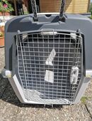 Hundebox groß zu verkaufen in 96257