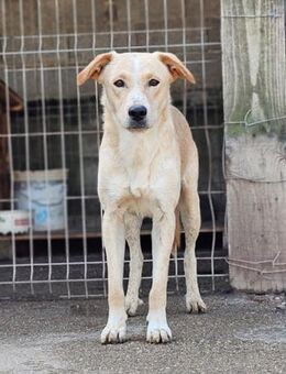 Bob wartet sehnsüchtig auf deine Anfrage - Hamburg