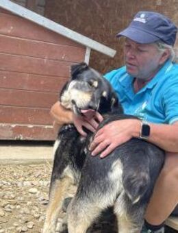 Franzl - Sissi und/oder Zuhause gesucht - Idstein