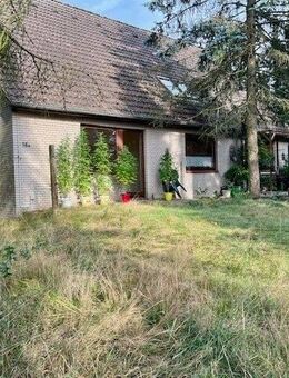 kleine Mehrfamilienhaus in Bispingen-Behring zu verkaufen - Bispingen