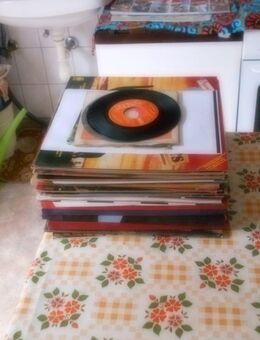 Schallplatten aus den 60er, 70er,80er Jahren. 41 LPs und 4 Singl. - Harzgerode Dankerode