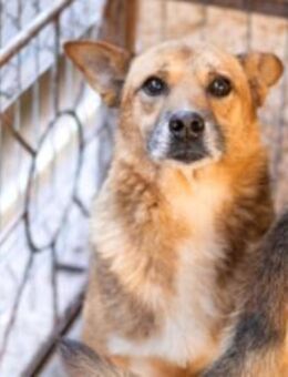 Amadou sucht seine Menschen - München