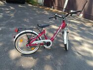 20 Zoll 3 Gang Mä Fahrrad von Raleigh Pink weis - Rodgau