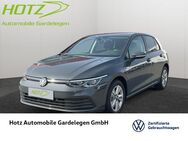 VW Golf, 1.5 TSI VIII Life, Jahr 2023 - Gardelegen (Hansestadt)