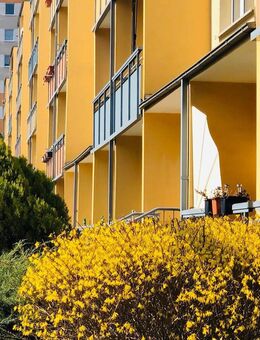 Wir renovieren! Sie müssen nur noch einziehen! - Halle (Saale)