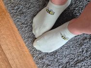 Getragene Socken mit Bienen Motiv - Nürnberg