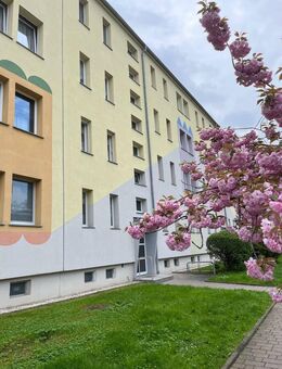 3-Raumwohnung mit Balkon im EG in WSF zu vermieten - Weißenfels