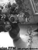 Feine 24h Katzenbetreuung in Frankfurt . private Katzenpension in FFM . Urlaubsbetreuung in 60596