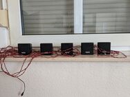 Gebrauchte Sansun Boxen - Niederaula