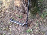 Roller verloren? Roller gefunden! - Mühlenbecker Land
