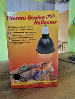 Reflektorlampe für Terrarium - Echternacherbrück