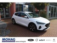 Ford Focus, 1.0 Active X AppleCarPLay, Jahr 2022 - Dorsten