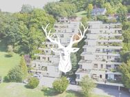 Schöne 5,5 Zimmer Terrassenwohnung im 1. OG in bester Lage von Kadelburg zu verkaufen - Küssaberg
