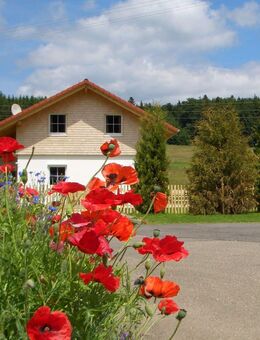 Hochwertig möbliertes Ferienhaus zu vermieten - inmitten herrlicher Natur - außerhalb gelegen - Wohnen auf Zeit möglich - Meßstetten