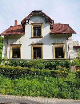 frisch renovierte 4-Raum-Wohnung am Waldrand von Blankenburg (Harz) - Blankenburg (Harz)