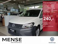 VW Caddy, 2.0 TDI Maxi Kombi 75kW, Jahr 2019 - Gütersloh