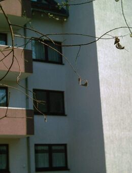 Inventment Geheimtipp: Sehr schöne 4-Zimmerwohnung im ruhigen Paunsdorf zu erwerben | WE06 - Leipzig