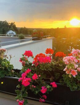 Natur & Zentral Penthousewohnung 4-Zimmer mit Weitblick über Weiherhof - Zirndorf