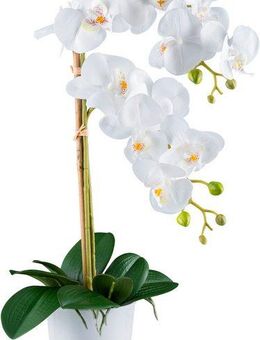 Kunstorchidee Orchidee Phalaenopsis, Creativ green, Höhe 56 cm, mit real-touch-Blüten