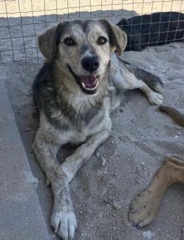IRINA HAT EIN NEUES LEBEN SO VERDIENT! - Mönchengladbach