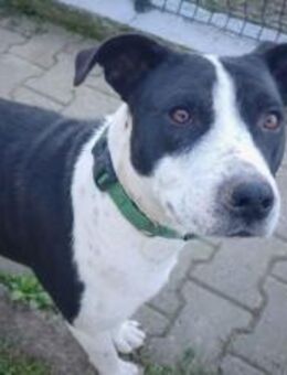 Akota wartet auf dich - München