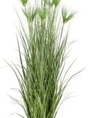 Kunstgras Zyperngras, Creativ green, Höhe 180 cm, mit sieben Zyperngrasblüten in 00000