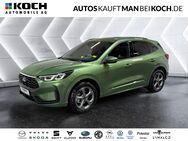 Ford Kuga, 1.5 ST-Line R, Jahr 2024 - Ahrensfelde