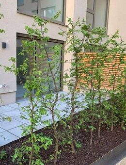 Provisionsfrei, Neubau, Erstbezug, 2-Zimmer Wohnung im EG mit Loggia und Terrasse im Zollhafen - Mainz