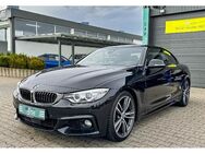 BMW 430 - Niederzier