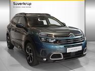 Citroën C5, Aircross Aircross 130 Feel, Jahr 2020 - Kiel