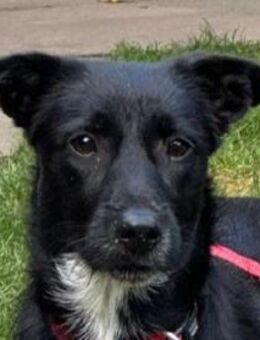 PÜPPI-sanfte Schönheit, 32 cm(w) - Rösrath