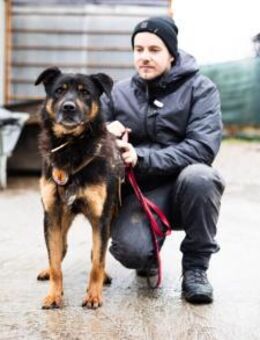 Samba - ein wahrer Traumhund - München