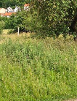 Wiese zum selber Mähen oder Sensen - Elfershausen