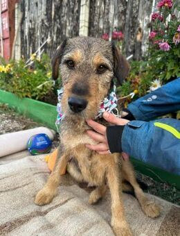 IDA (*2024) möchte endlich ankommen - Landau (Pfalz)