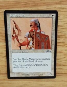 Magic The Gathering-Sammelkarte-Shield Matc - Nörvenich