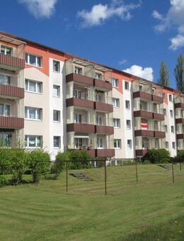 Charmante 3-Zimmer-Wohnungen in Borken – Ihr neues Zuhause im Grünen - Viereck
