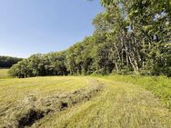 0,6 ha Waldfläche/Unland - Hörselberg-Hainich