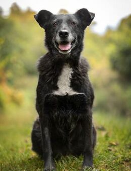 Unkomplizierte ​Agata sucht ihr Glück - Ottweiler